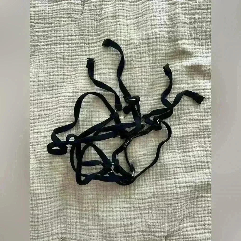 Chromat Harness - Bold Statement Accessory | S - Picture 7 of 7